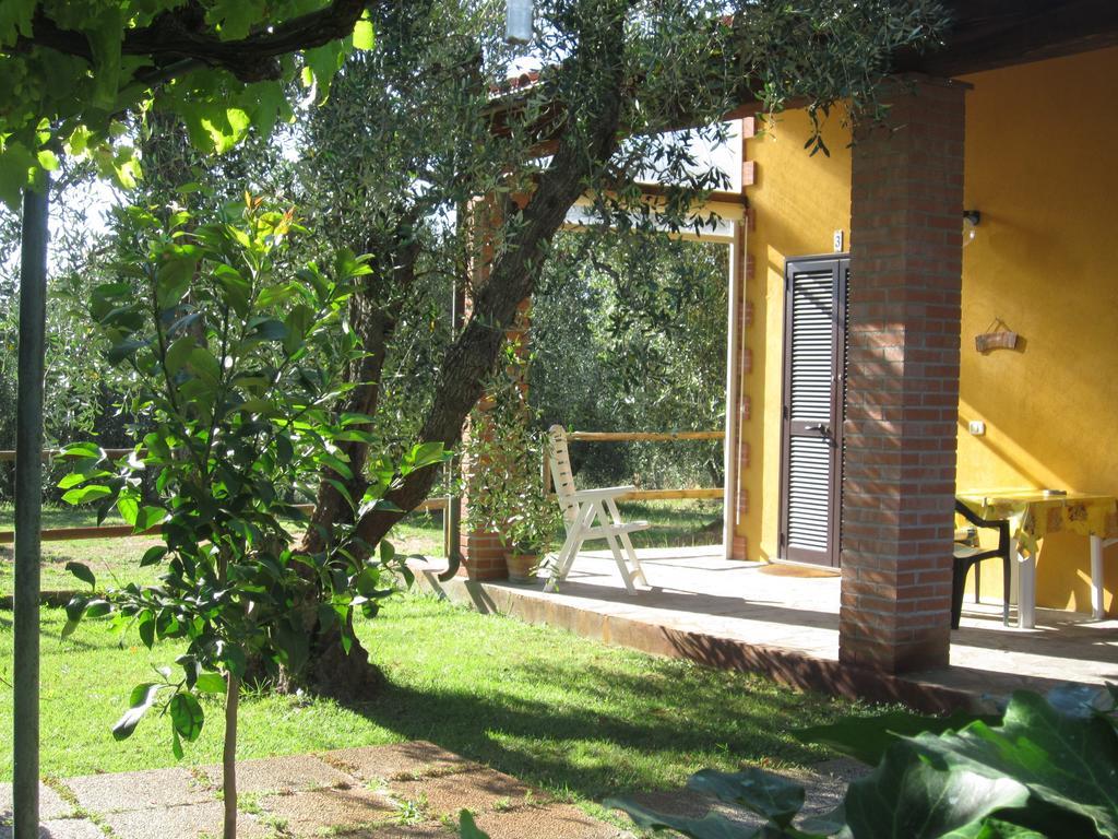 Agriturismo La Carlina Villa Magliano in Toscana Room photo